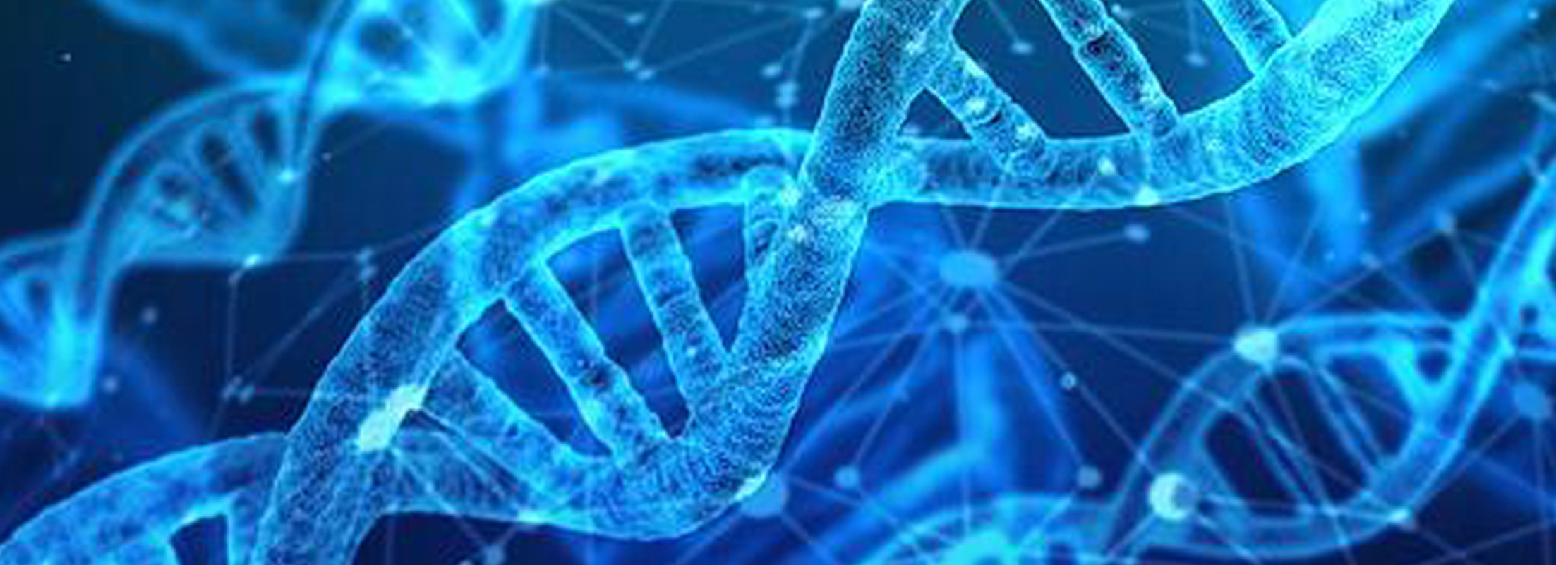 $1,000,000 Credit Facility for Bioscience Firm